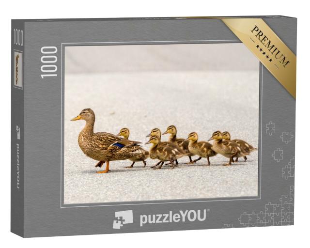 Puzzle de 1000 pièces « Une maman canard et ses canetons »
