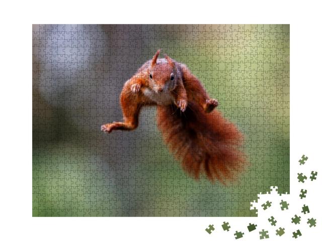 Puzzle de 1000 pièces « L'écureuil rouge bondit à travers la forêt »