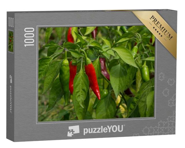 Puzzle de 1000 pièces « Arbuste de poivrons rouges et verts »