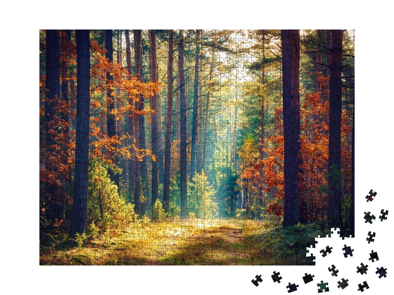 Puzzle de 1000 pièces « Forêt d'automne ensoleillée »