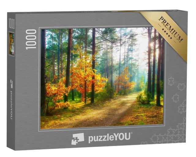 Puzzle de 1000 pièces « Paysage forestier en automne »