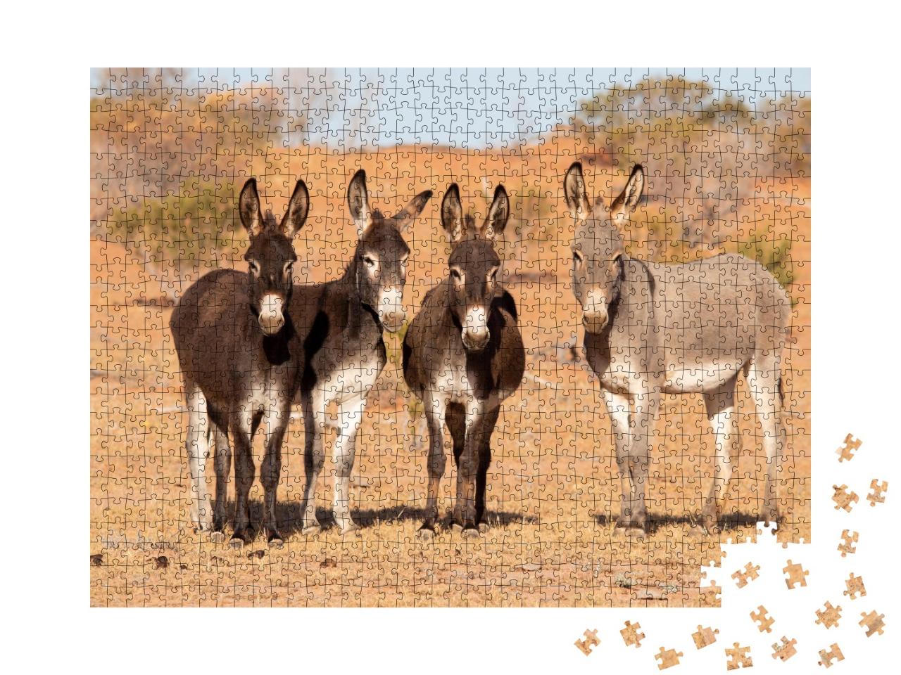 Puzzle de 1000 pièces « L'âne dans l'outback australien »