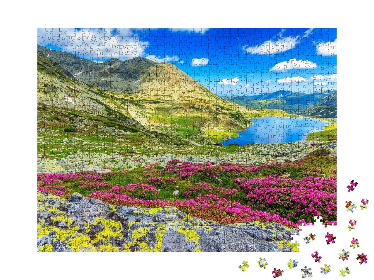 Puzzle de 1000 pièces « Lac glaciaire, hautes montagnes et rhododendrons roses, Carpates, Roumanie »