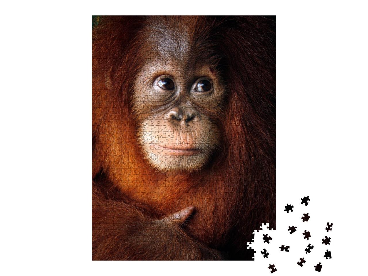 Puzzle de 1000 pièces « Bébé orang-outan »