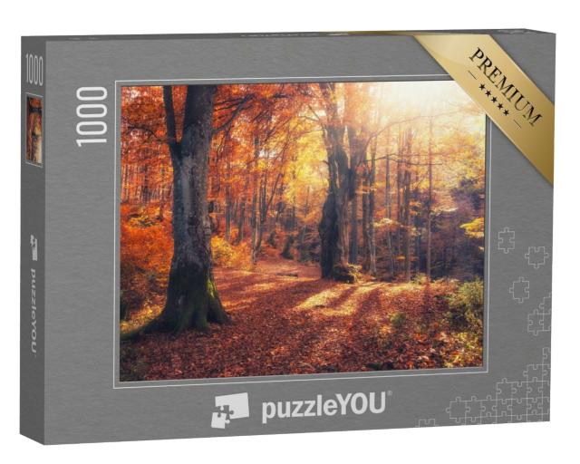 Puzzle de 1000 pièces « Un matin d'automne dans une forêt colorée avec des rayons de soleil »