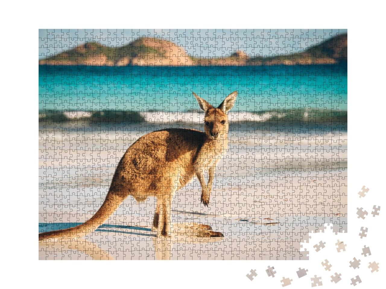 Puzzle de 1000 pièces « Känguru, Lucky Bay, Parc national de Cape Le Grand, Australie »