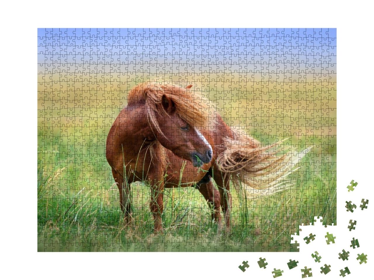 Puzzle de 1000 pièces « Poney au pâturage dans le vent de printemps »
