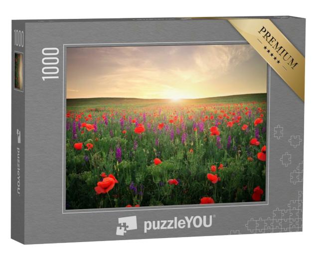 Puzzle de 1000 pièces « Champ d'herbe, de fleurs violettes et de coquelicots rouges »