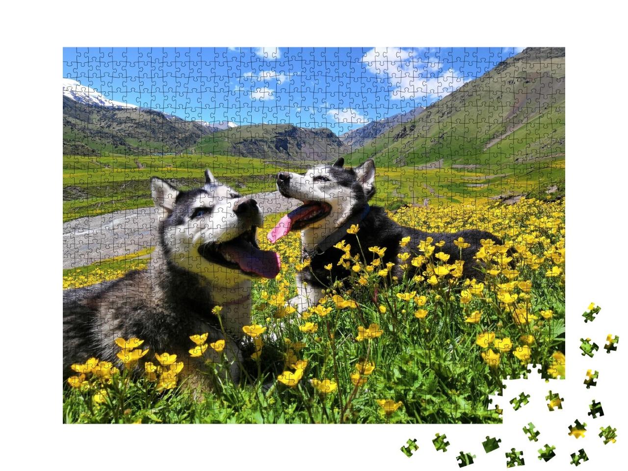Puzzle de 1000 pièces « Deux huskies sibériens dans les montagnes du Caucase »