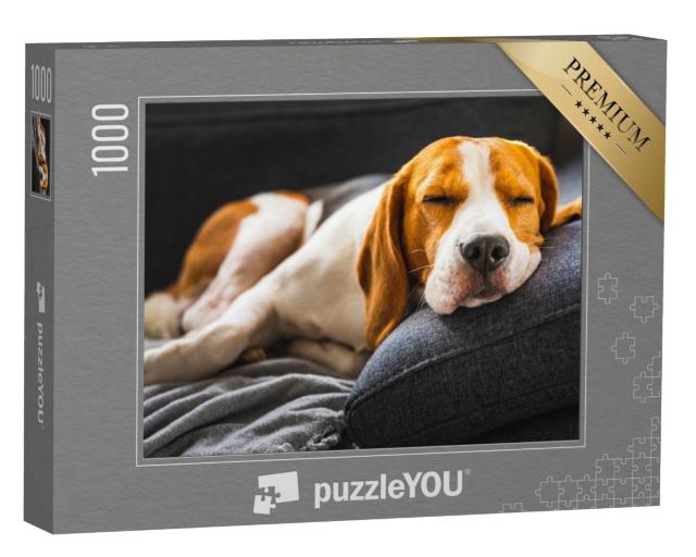 Puzzle de 1000 pièces « Un beagle sur le canapé »