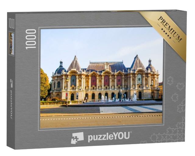 Puzzle de 1000 pièces « Musée des beaux-arts de Lille. Enregistré à Lille en France. »