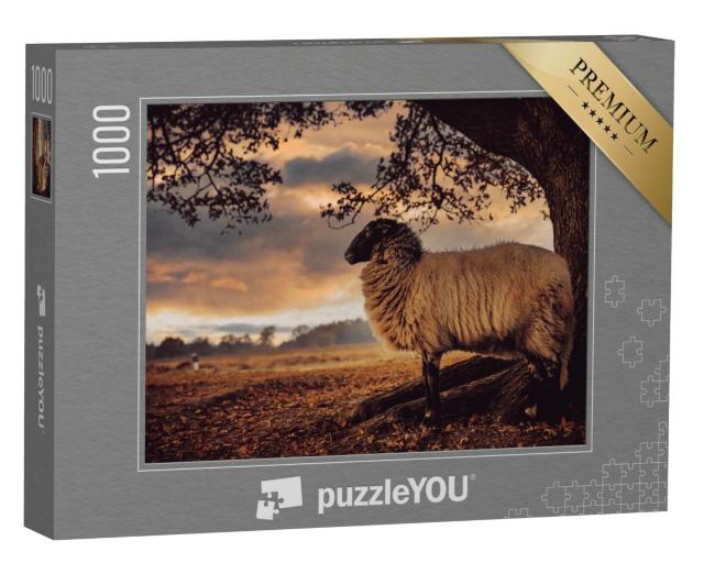 Puzzle de 1000 pièces « Mouton à tête noire se tient sous un arbre »
