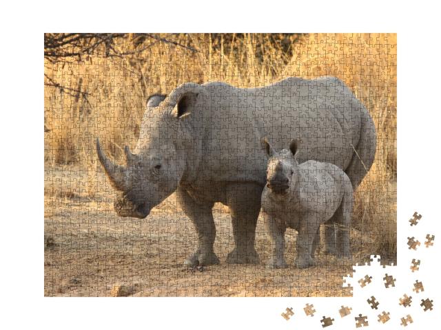 Puzzle de 1000 pièces « Rhinocéros blanc et son petit en Afrique du Sud »