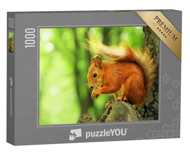 Puzzle de 1000 pièces « Bel écureuil rouge dans le parc »