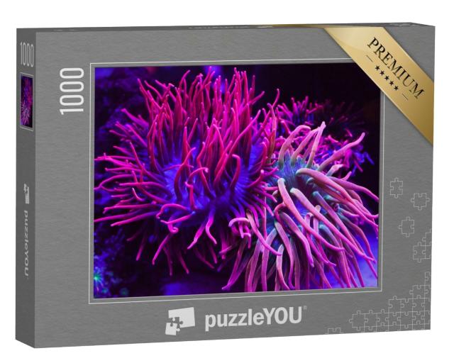 Puzzle de 1000 pièces « Des coraux d'un violet éclatant dans un aquarium »