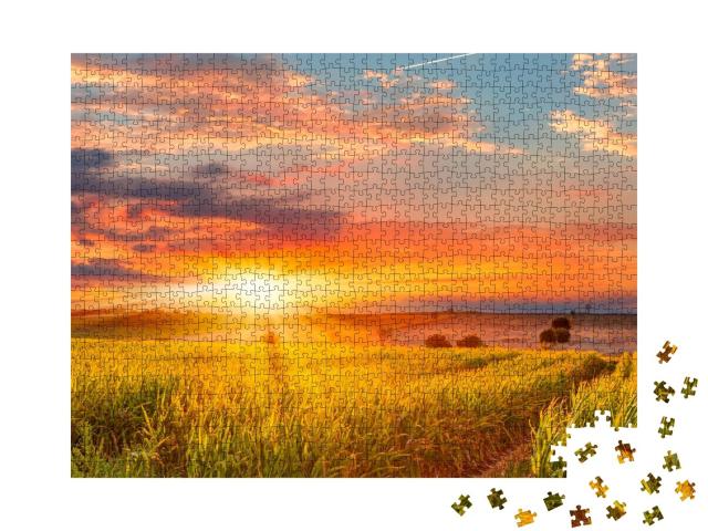 Puzzle de 1000 pièces « Lever de soleil sur un champ de maïs »