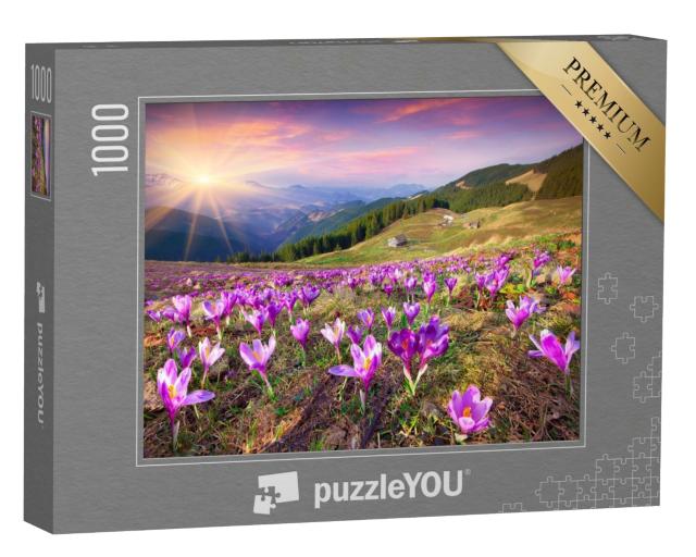Puzzle de 1000 pièces « Coucher de soleil sur des crocus en fleurs dans les montagnes »