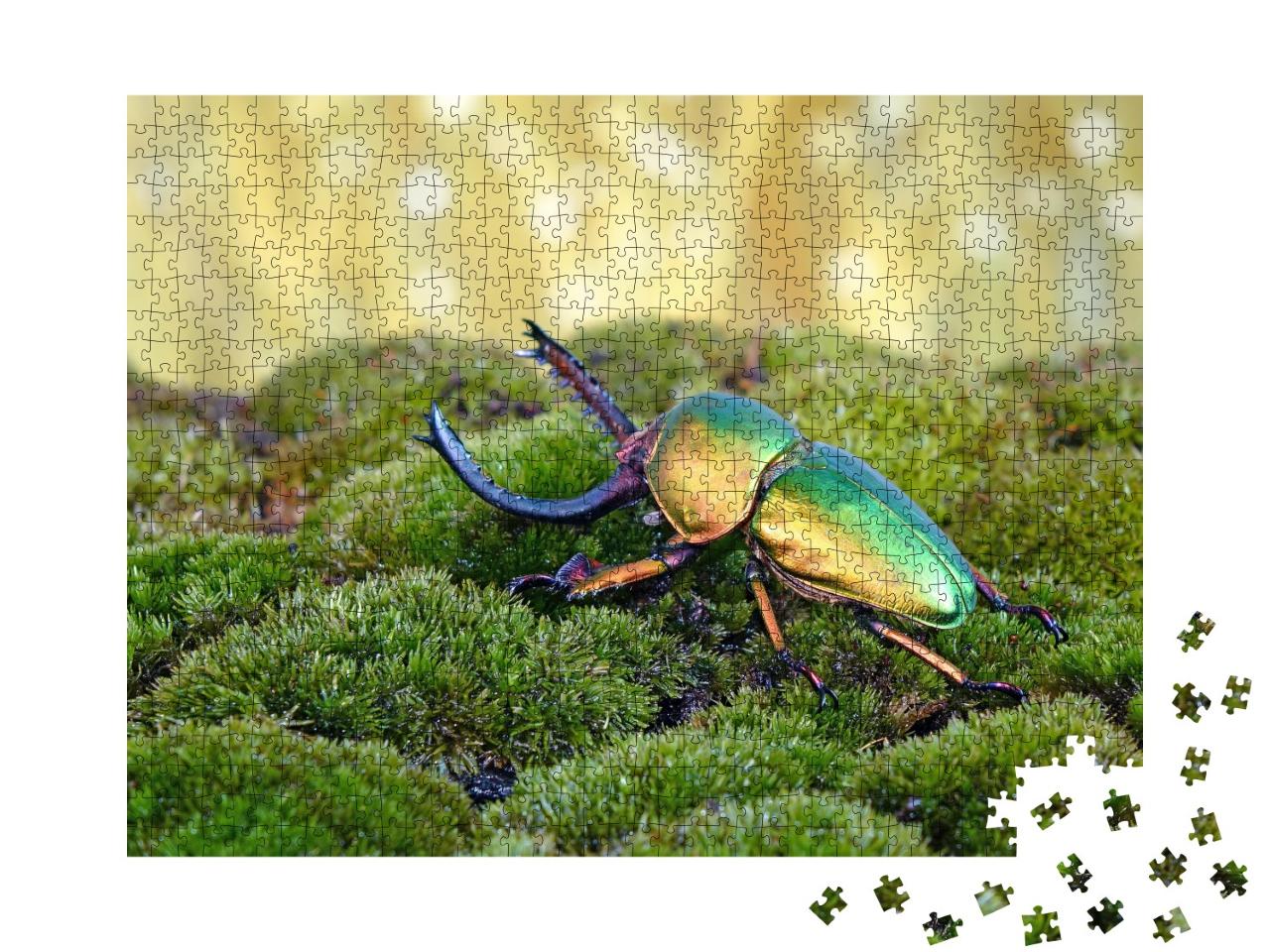 Puzzle de 1000 pièces « Le scarabée à dents de scie ou scarabée des cerfs, l'un des plus beaux scarabées du monde »