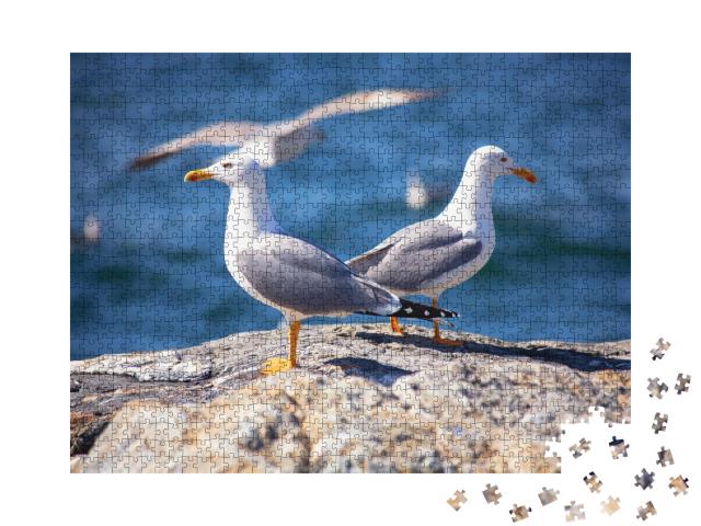 Puzzle de 1000 pièces « Deux goélands marins sur la plage »