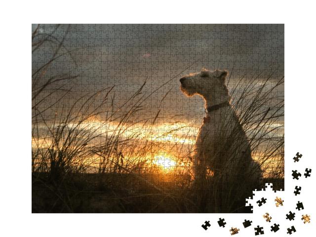 Puzzle de 1000 pièces « Fox-terrier à poil dur au coucher du soleil »