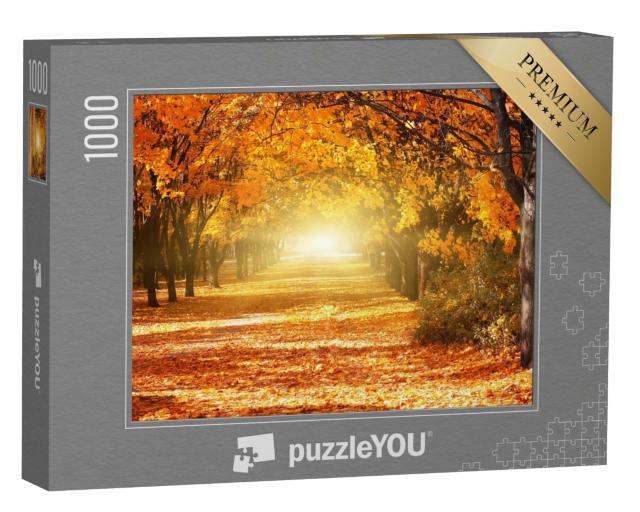Puzzle de 1000 pièces « Allée d'arbres d'automne dorés »