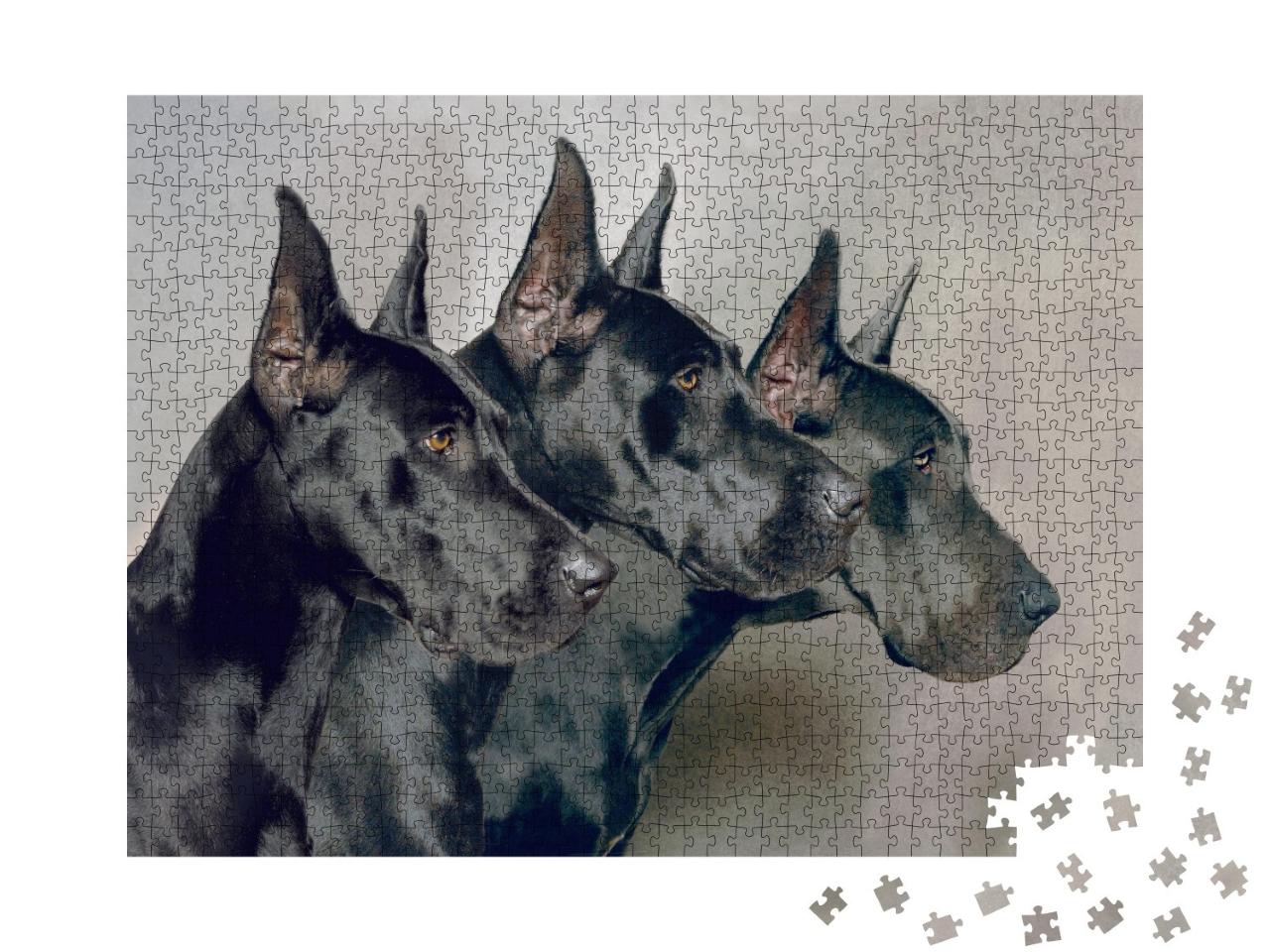 Puzzle de 1000 pièces « Trois générations de dogues allemands »