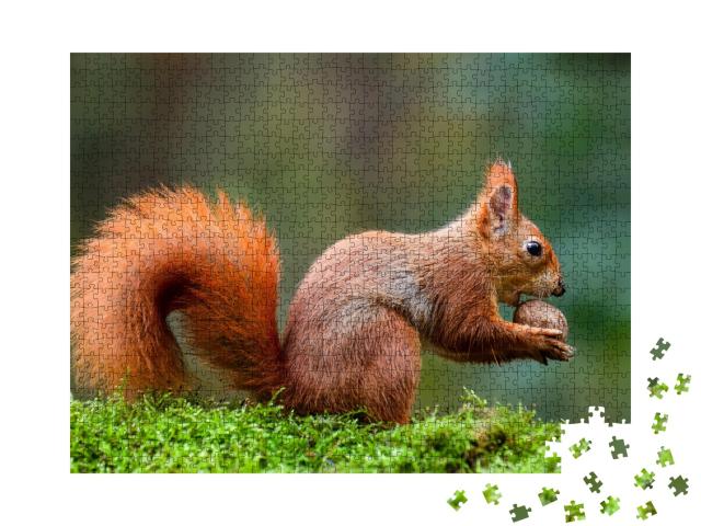 Puzzle de 1000 pièces « Un écureuil rouge mange une noix sur un tronc de mousse »