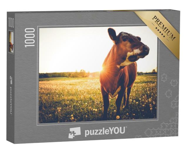 Puzzle de 1000 pièces « Vache seule et heureuse dans une prairie au coucher du soleil »