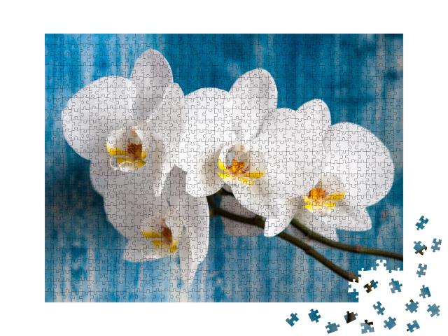 Puzzle de 1000 pièces « Orchidée blanche »