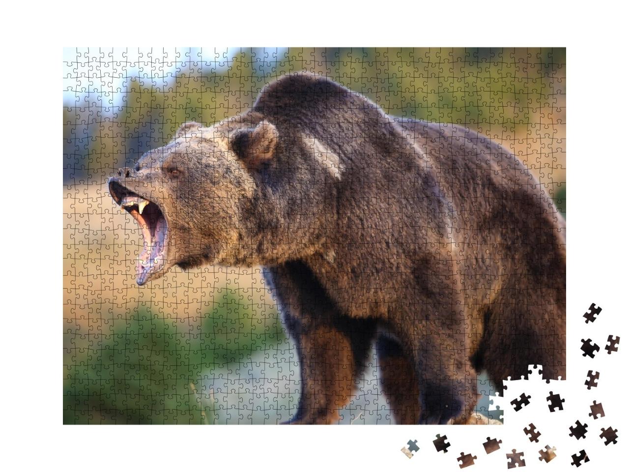 Puzzle de 1000 pièces « Ours brun d'Amérique du Nord, grizzly »