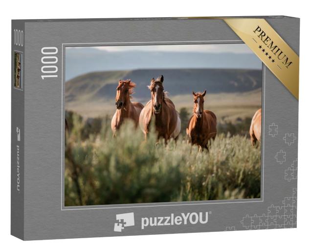 Puzzle de 1000 pièces « Magnifique ranch américain de chevaux Quarter Horse, Wyoming »