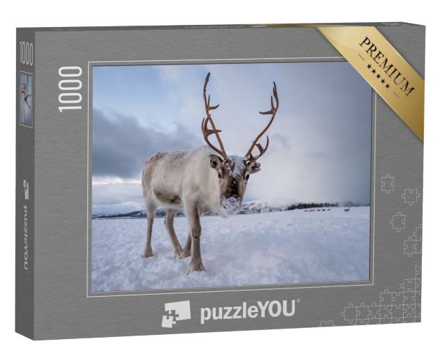 Puzzle de 1000 pièces « Un renne curieux »