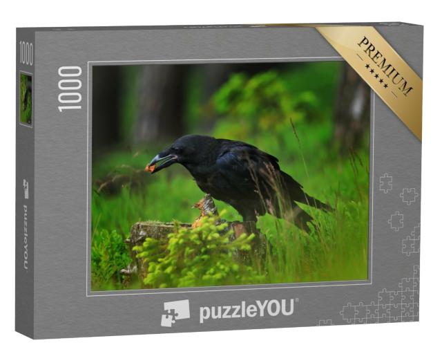 Puzzle de 1000 pièces « Jeune grand corbeau à la recherche de nourriture dans une souche d'arbre pourrie »