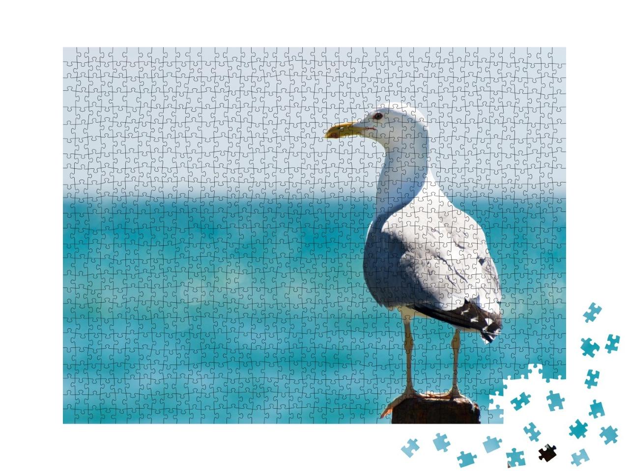 Puzzle de 1000 pièces « Mouette regardant attentivement la mer »