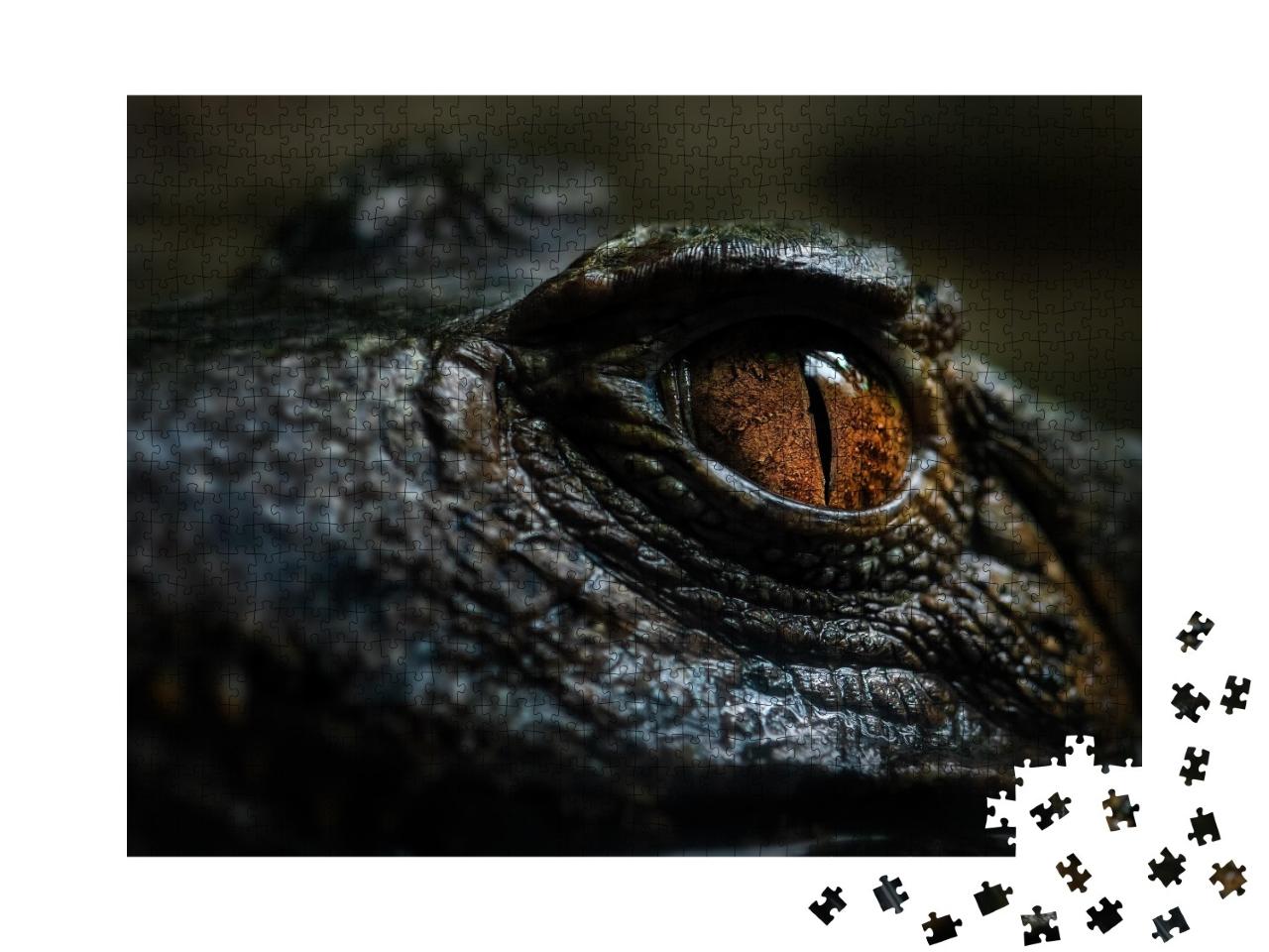 Puzzle de 1000 pièces « Détail de l'œil d'un petit crocodile sud-américain, Brésil »