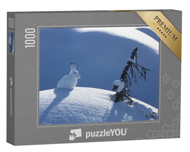 Puzzle de 1000 pièces « Lapin polaire duveteux lors d'une journée ensoleillée en hiver »
