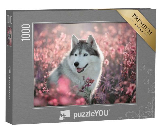 Puzzle de 1000 pièces « Magnifique husky dans un champ en fleurs »
