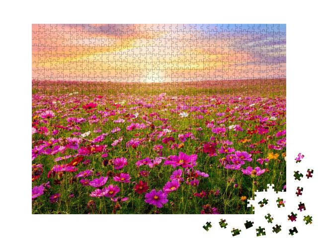Puzzle de 1000 pièces « Champ de cosmos au coucher du soleil »