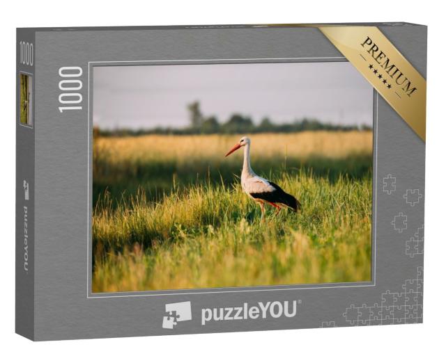 Puzzle de 1000 pièces « Cigogne blanche européenne dans l'herbe verte de l'été »