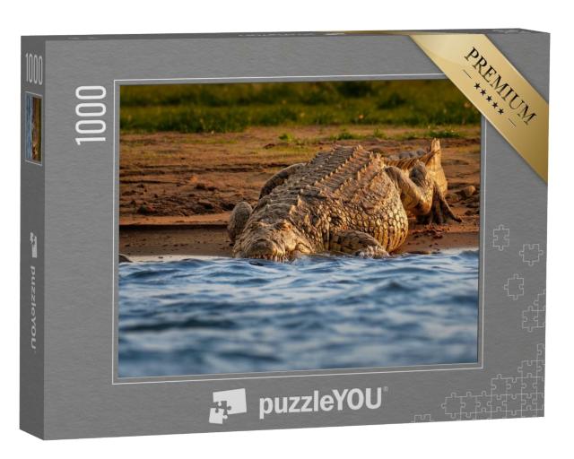 Puzzle de 1000 pièces « Le crocodile du Nil au bord de la rivière ouvre sa gueule avec de grandes dents »