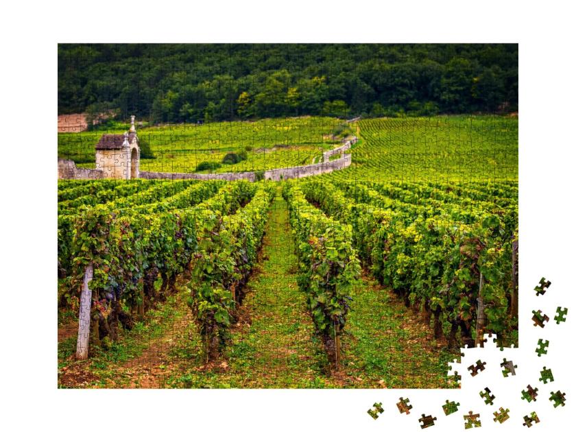 Puzzle de 1000 pièces « Château avec vignobles, Bourgogne, France »