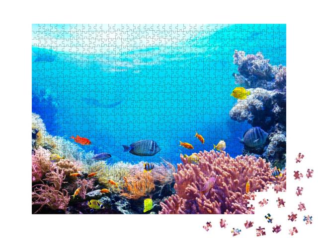 Puzzle de 1000 pièces « La vie dans le récif corallien »