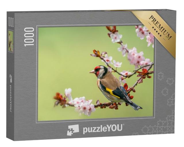 Puzzle de 1000 pièces « Chardonneret multicolore sur une branche fleurie »