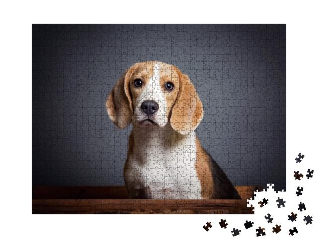 Puzzle de 1000 pièces « Portrait d'un chiot beagle »