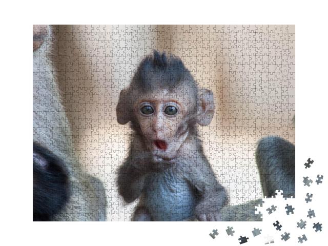 Puzzle de 1000 pièces « Un petit singe dans la forêt, Thaïlande »