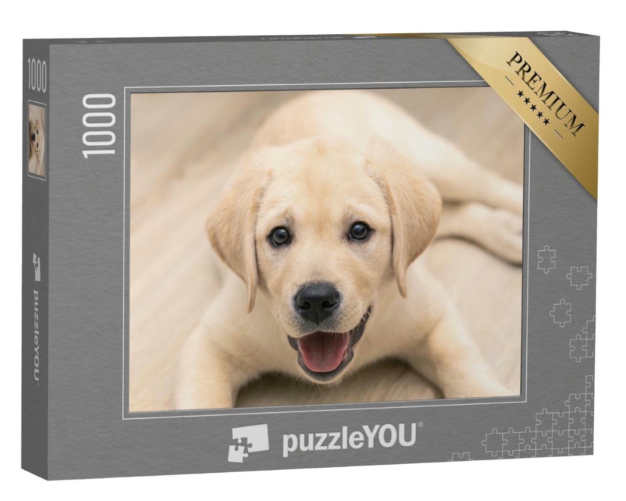 Puzzle de 1000 pièces « Adorable chiot labrador doré en gros plan »
