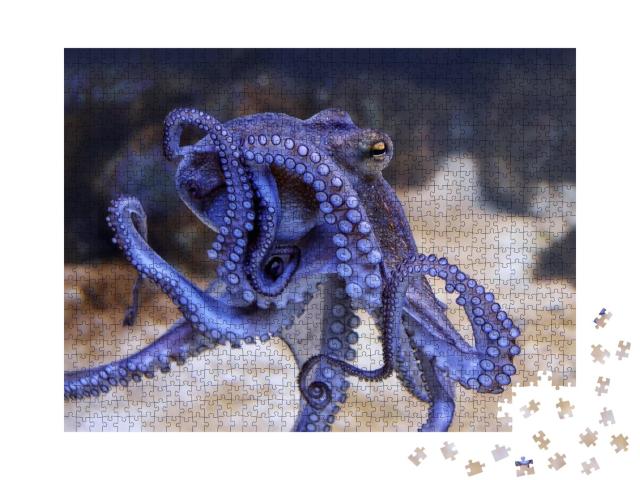 Puzzle de 1000 pièces « Pieuvre bleue dans un aquarium »