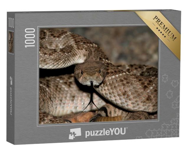 Puzzle de 1000 pièces « Serpent à sonnettes Mojave érigé »