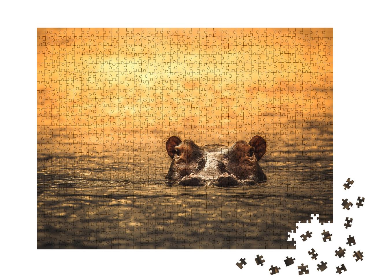 Puzzle de 1000 pièces « Hippopotame au coucher du soleil, réserve de gibier de Selous, Tanzanie »