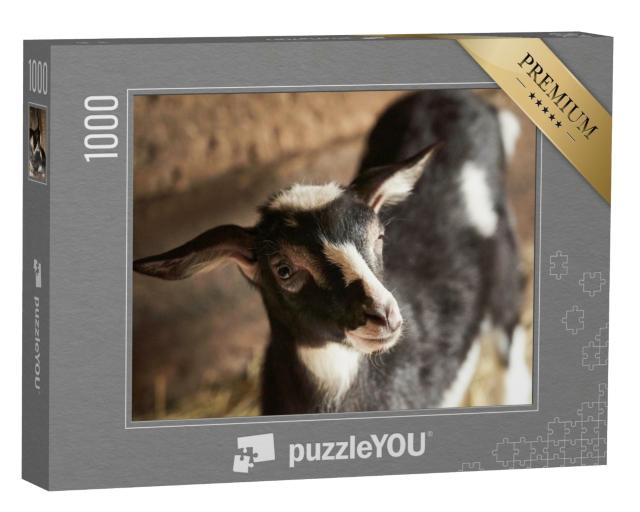 Puzzle de 1000 pièces « Chèvre noire et blanche dans l'étable »